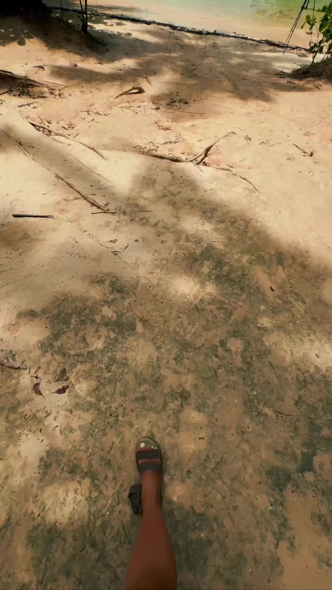 5 жемчужин Андамана – самые популярные острова Андаманского моря с вечеринкой на Пхи-Пхи