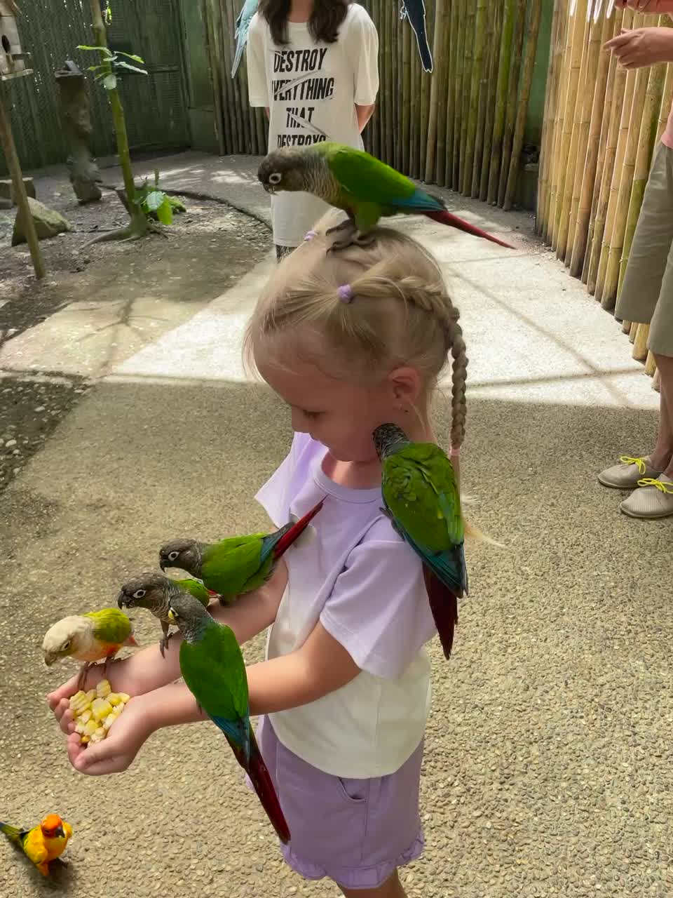 Дискавери - экскурсия для всей семьи, знакомство с животным миром Таиланда