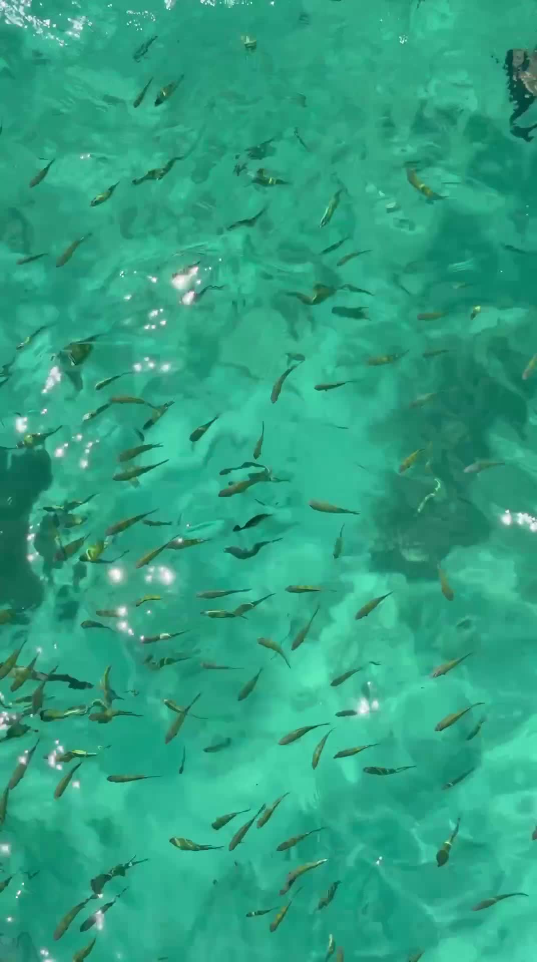 4 жемчужины Андамана – Пхи-Пхи, Краби и Джеймс Бонд на спидботе с ночёвкой