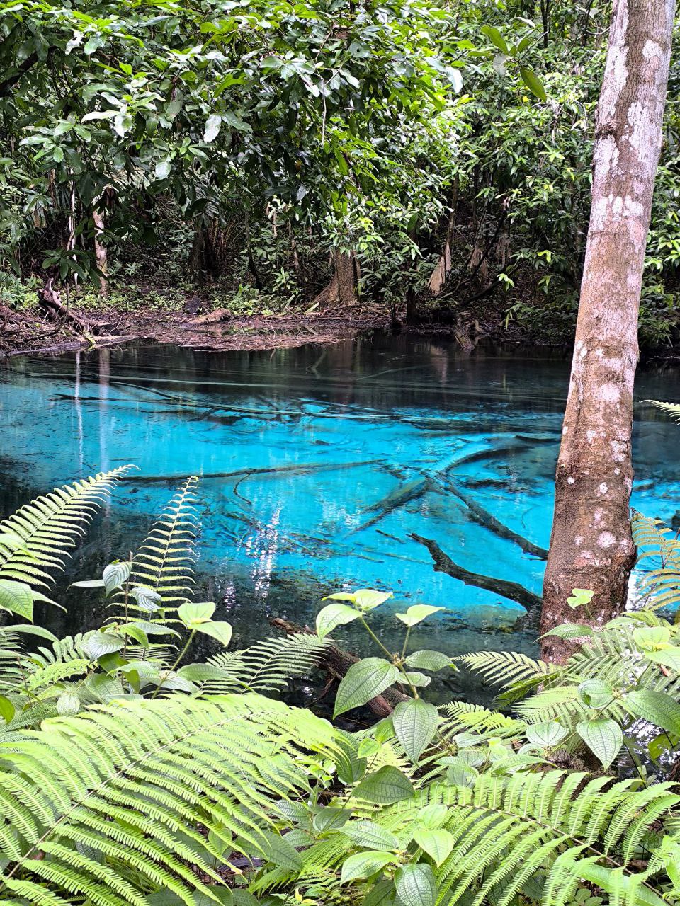Изумруды Краби c ночевкой - экскурсия в Краби из Пхукета