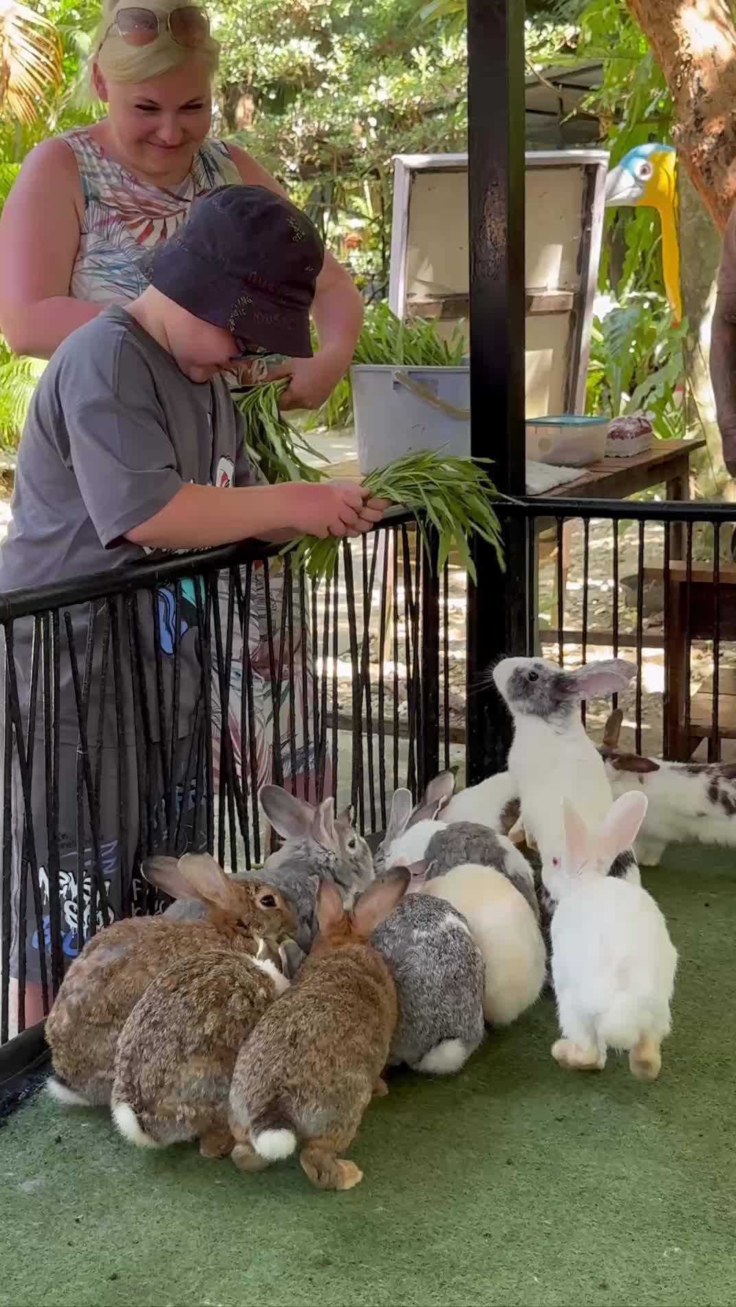 Дискавери - экскурсия для всей семьи, знакомство с животным миром Таиланда