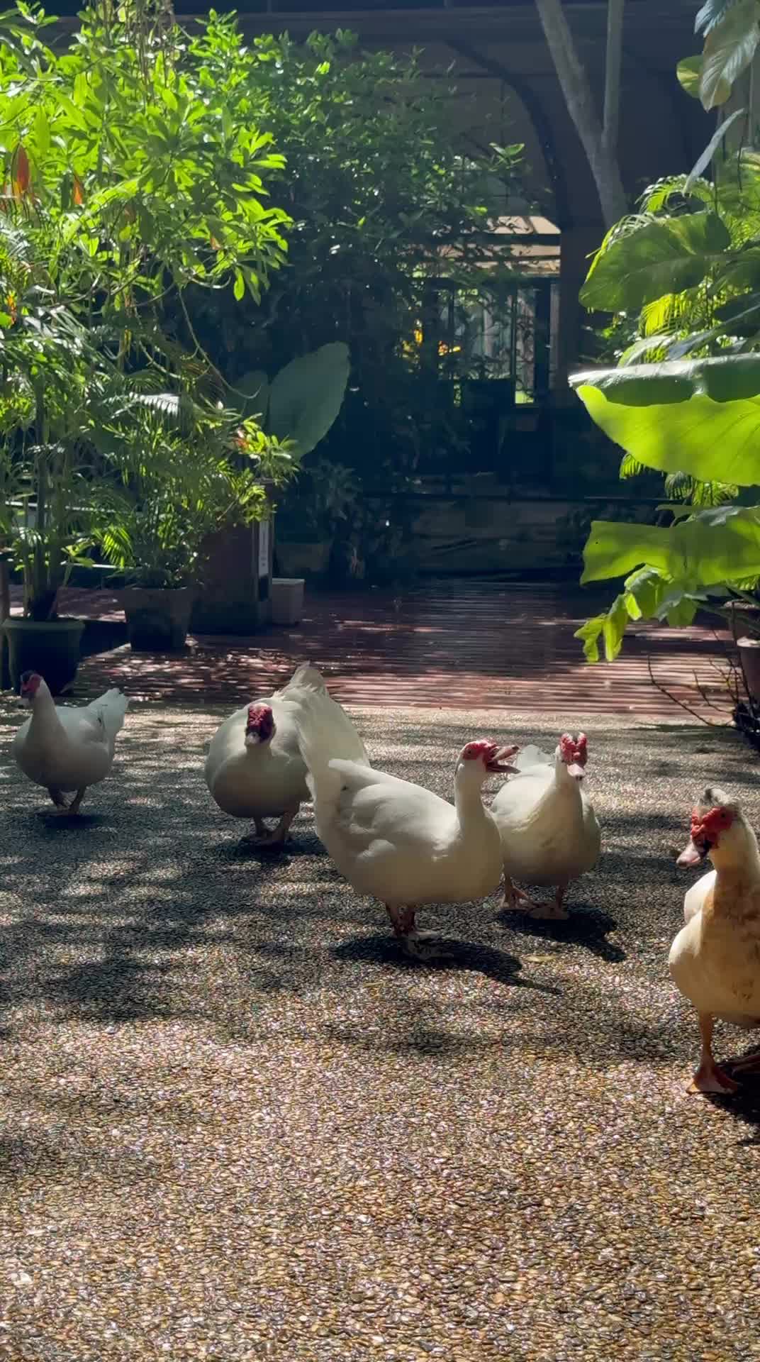 Дискавери - экскурсия для всей семьи, знакомство с животным миром Таиланда